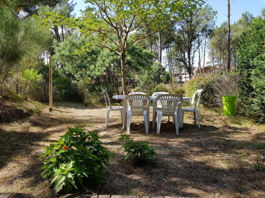 Vila Maison A 300M De La Plage Moliets-et-Maa Exteriér fotografie